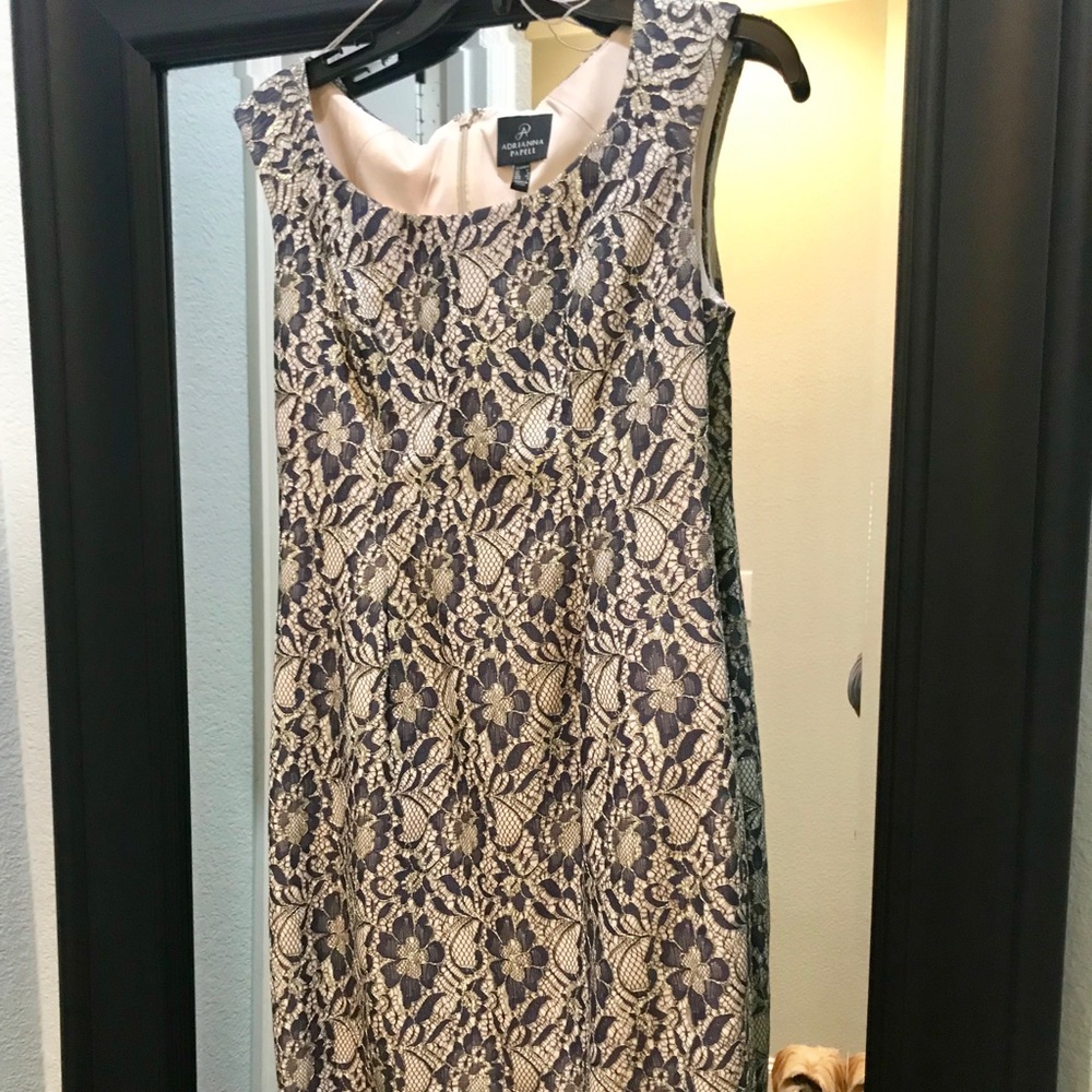 Adrianna Papelle sleeveless lace cocktail dress